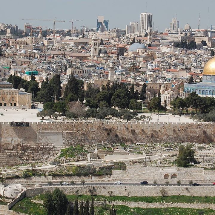 Photo of 80-ta Herbatka Pana Radka