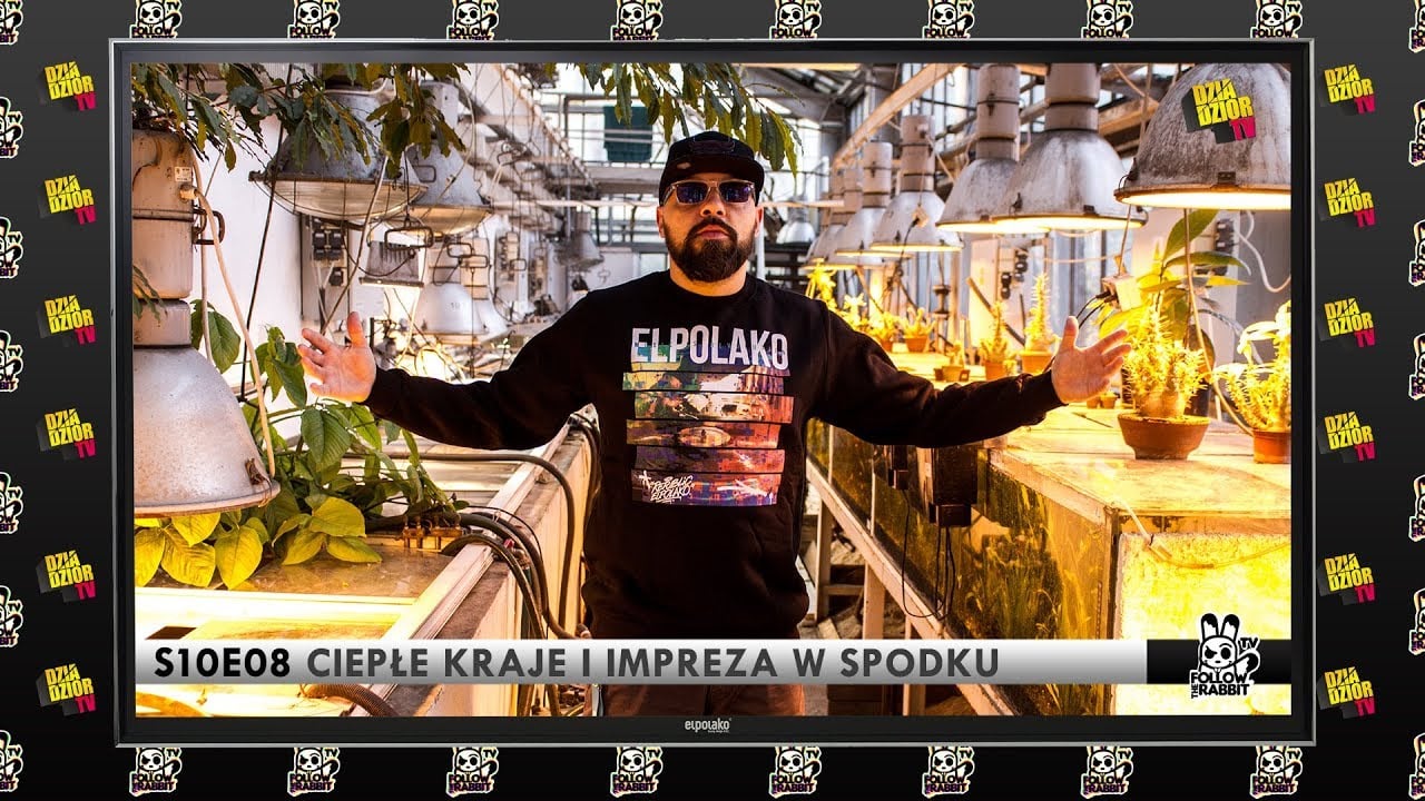Photo of Follow The Rabbit TV S10E08: Ciepłe kraje i impreza w Spodku