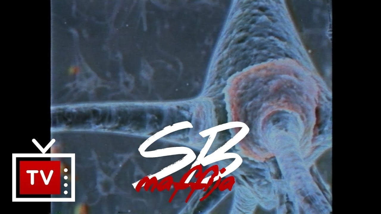 Photo of solar – neuron ft. białas (prod. deemz)