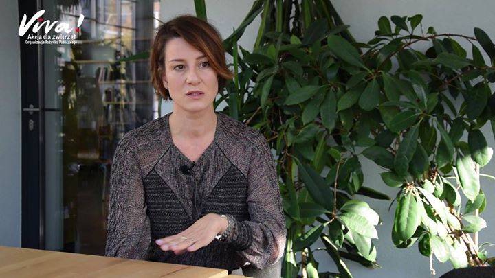 Photo of Jutro będzie futro … Ratujmy Zwierzaki…