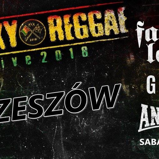 Photo of Punky Reggae live 2018 / Rzeszów – Pod Palmą
