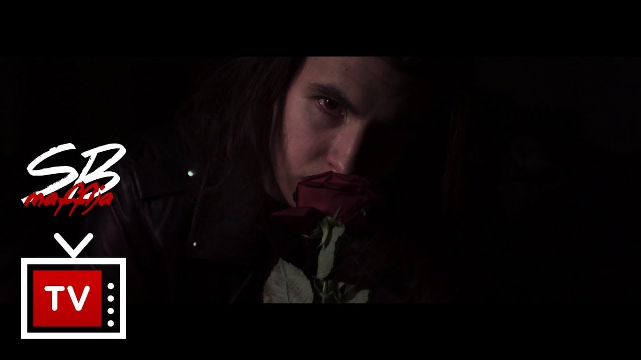 Photo of White 2115 – Noc [official video]