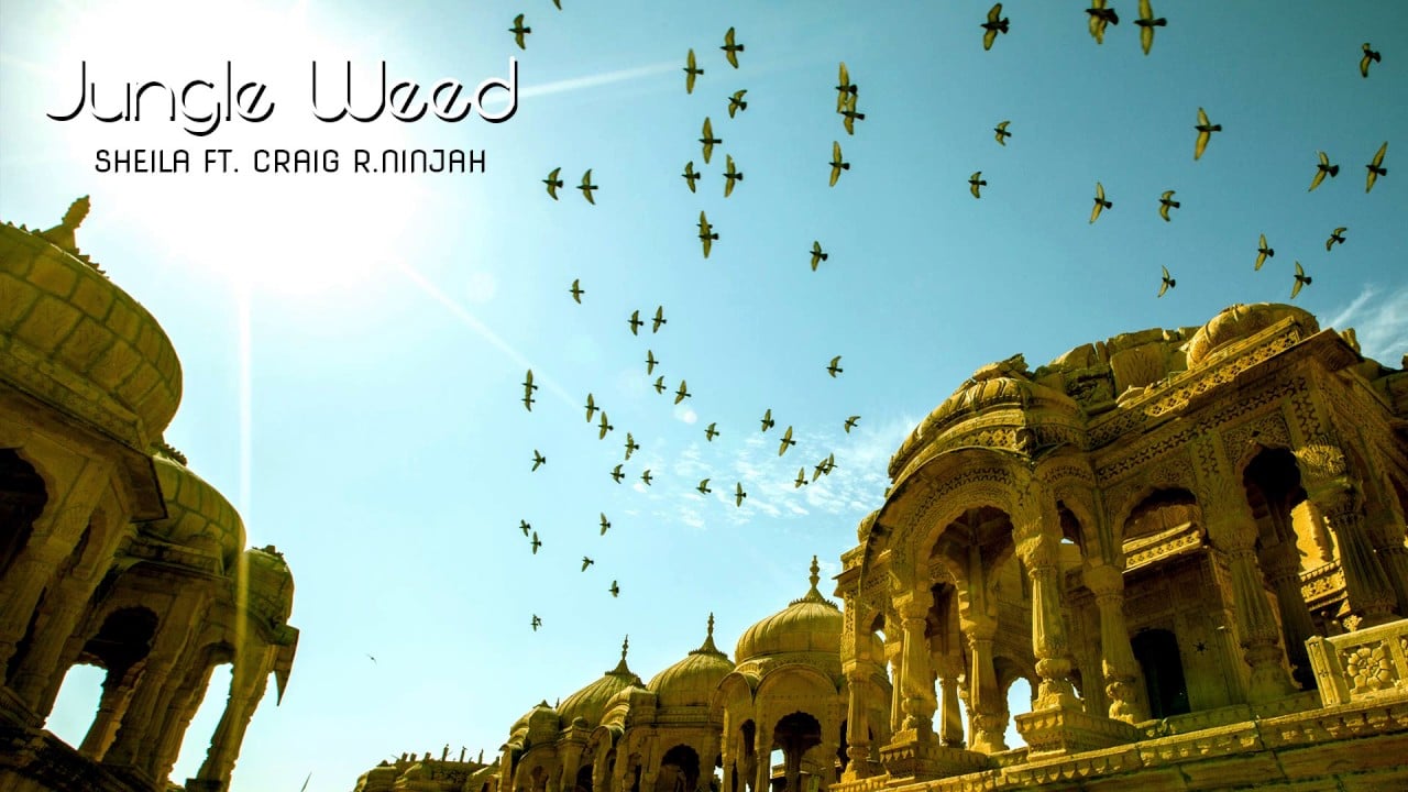 Photo of Jungle Weed – Sheila ft. Craig R.Ninjah (Tribute to Sheila Chandra)