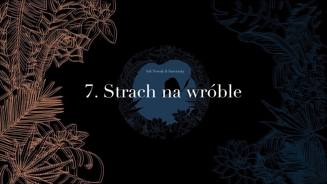 Photo of Adi Nowak & barvinsky – Strach na wróble