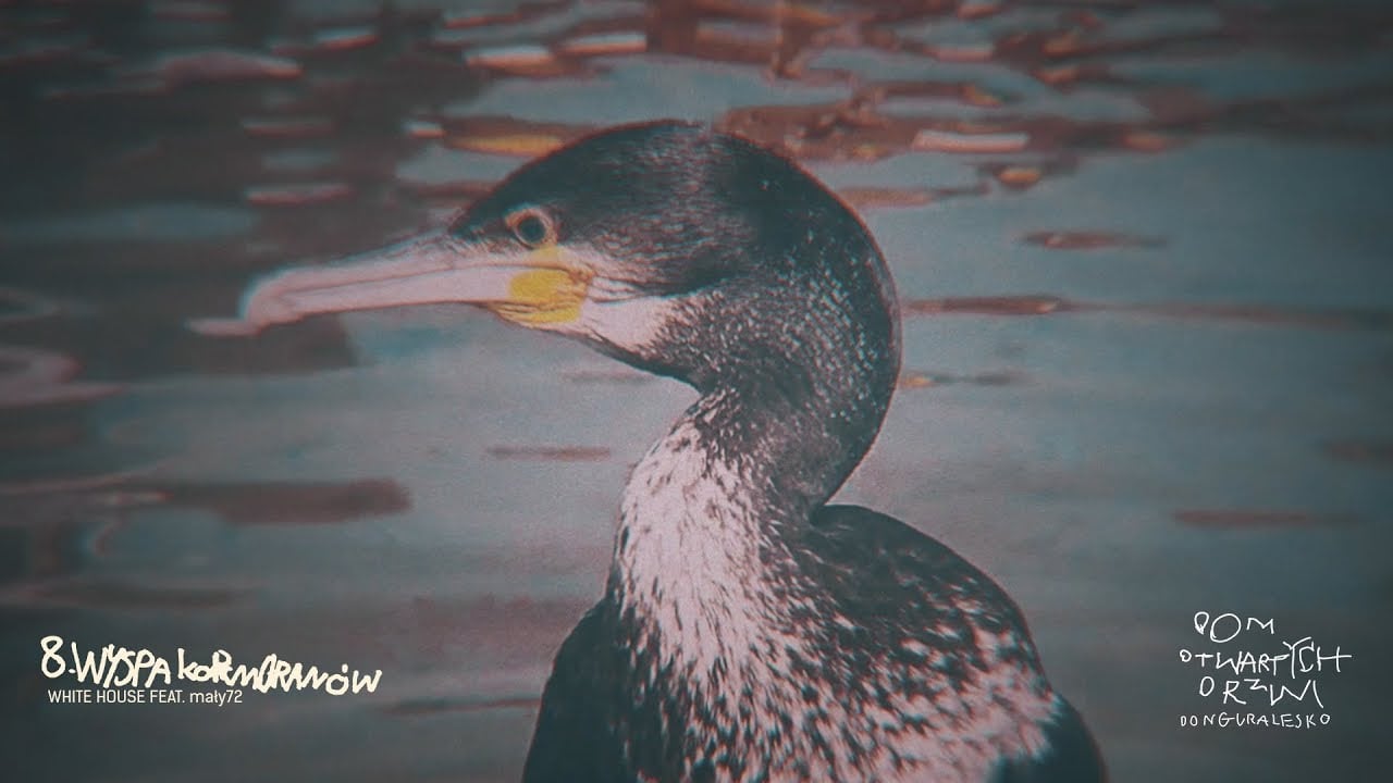 Photo of donGURALesko – Wyspa Kormoranów (prod. White House feat. mały72, skr. Dj Kostek) [MASH UP by Lolek]