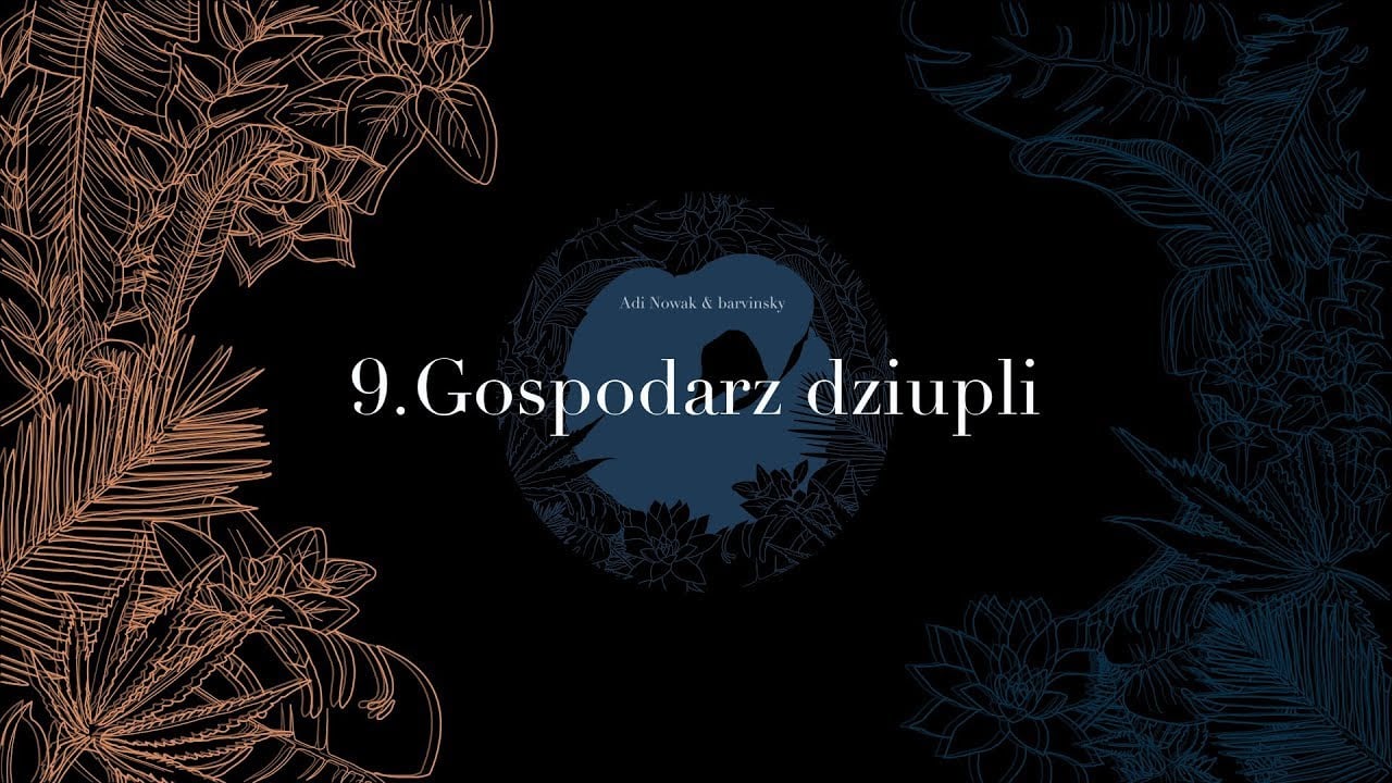 Photo of Adi Nowak & barvinsky – Gospodarz dziupli