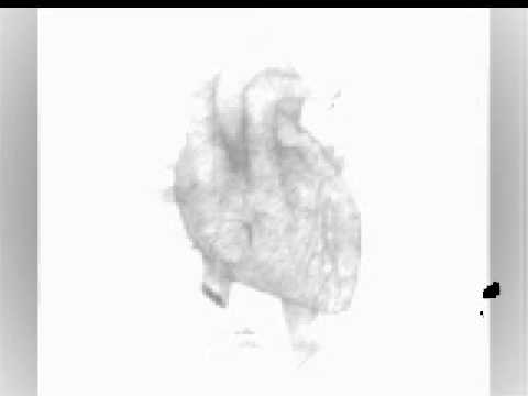 Photo of Fisz Emade Wiosna 86