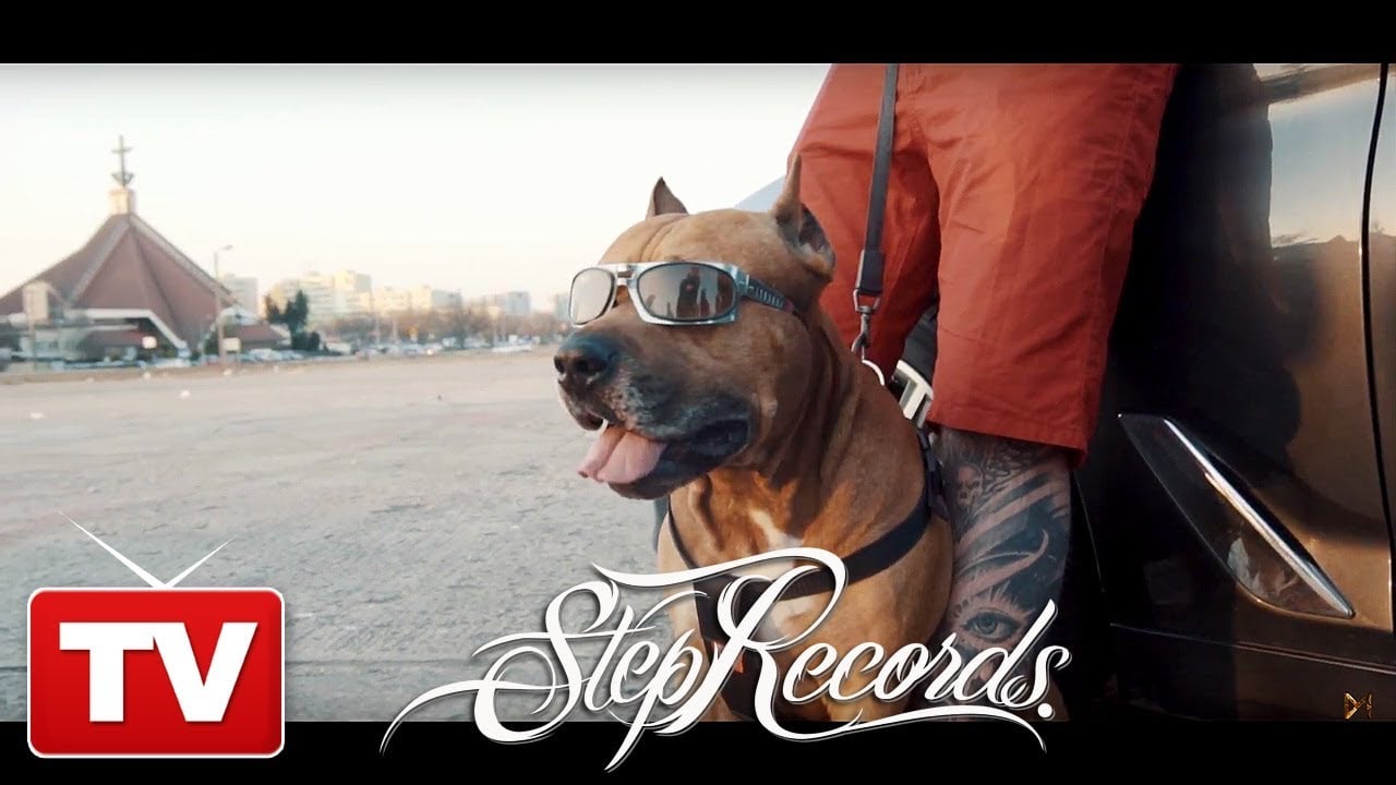 Photo of Kizo – Energia