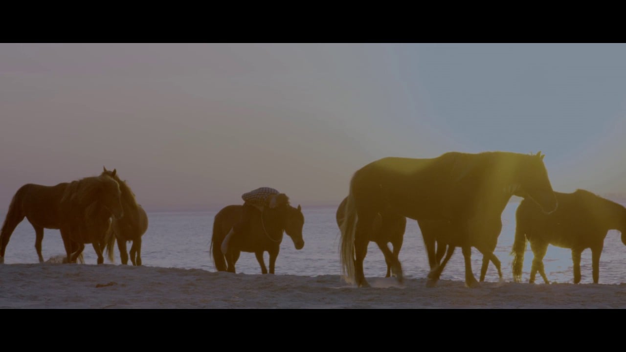 Photo of Sielska – Jutro mnie nie poznasz (Official Video)