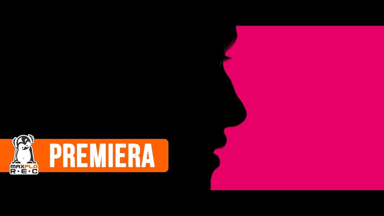 Photo of Vixen – Cameleona (official video) prod. JRS | TO NIE VIXT4PE