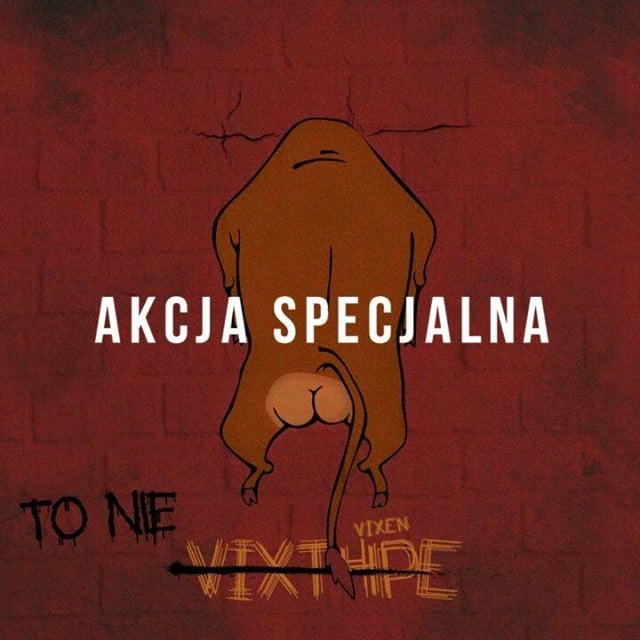 Photo of TO NIE VIXT4PE [akcja specjalna]