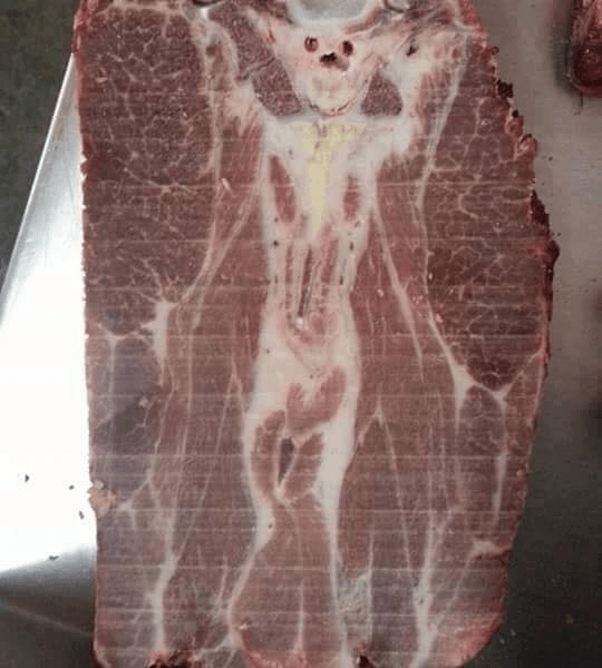 Photo of Terrordome, Excidium, Deathreat, Haunted Cenotaph; Rzeszów, Klub Vinyl; 21.04.2018 | Chaos Vault