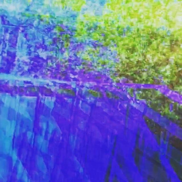 Photo of @ogbrootomasz _Broo #Present