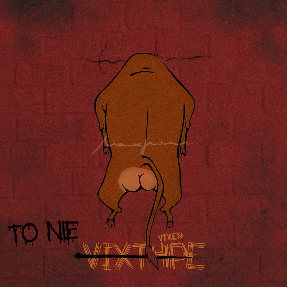 Photo of Wyspa.fm – To nie Vixt4pe