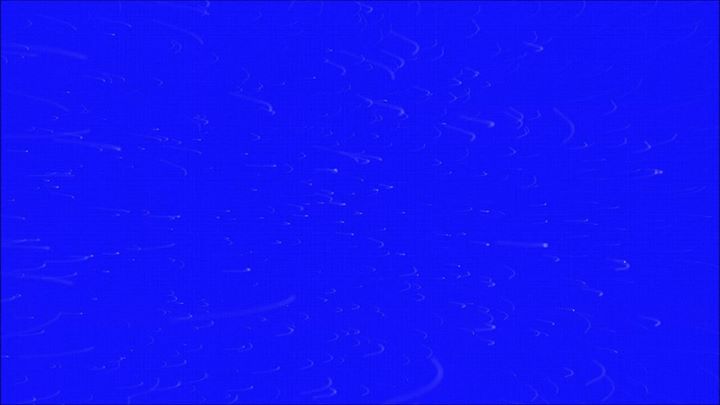 Photo of Jarecki zaprasza na Hip Hop Kemp 2018!