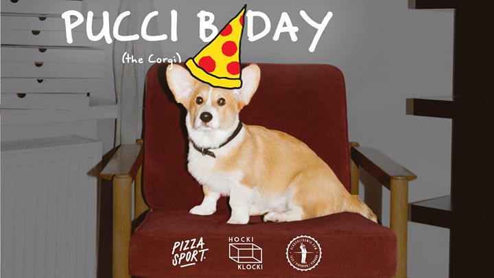 Photo of Dziś nasza mała psia chewbacca odpina wr…