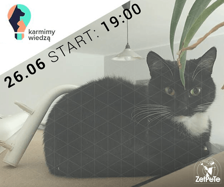 Photo of Chcesz poznać ludzi, którzy podobnie jak…