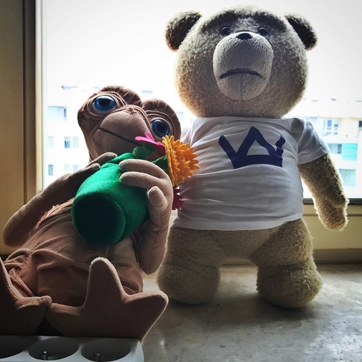 Photo of EKIPA SKUMALA ZE  #ostatnie_mielno JEST …