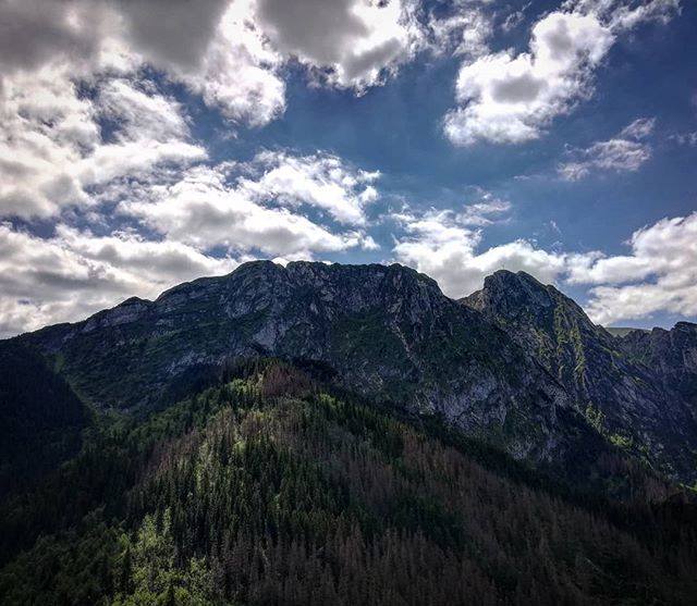 Photo of #staryrycerzmocnospi