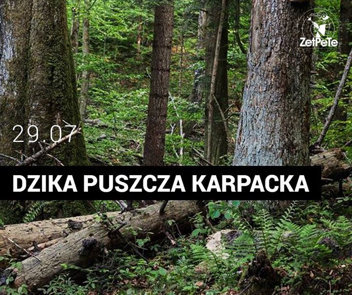 Photo of Jutro od 13:00 startuje event Dzika Pusz…