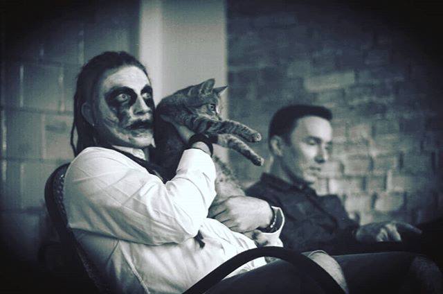 Photo of Same koty. 
Nowy klip zwiastujący CZERŃ …