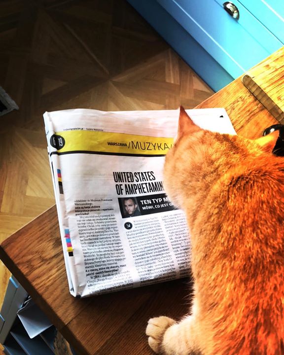 Photo of Irena już wie, jak trzeba żyć w USA. Ty …