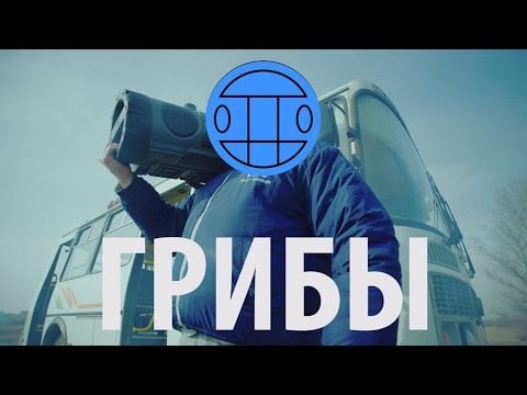 Photo of Грибы – Тает Лёд