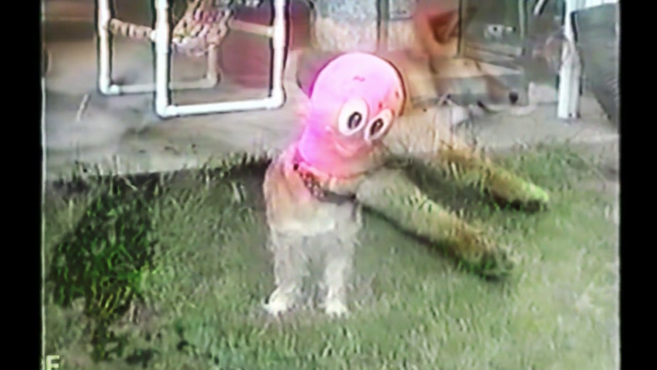 Photo of Wolf Eyes – „Enemy Ladder” Official Video