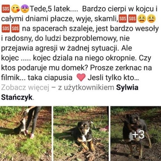 Photo of HAU HAU HAU