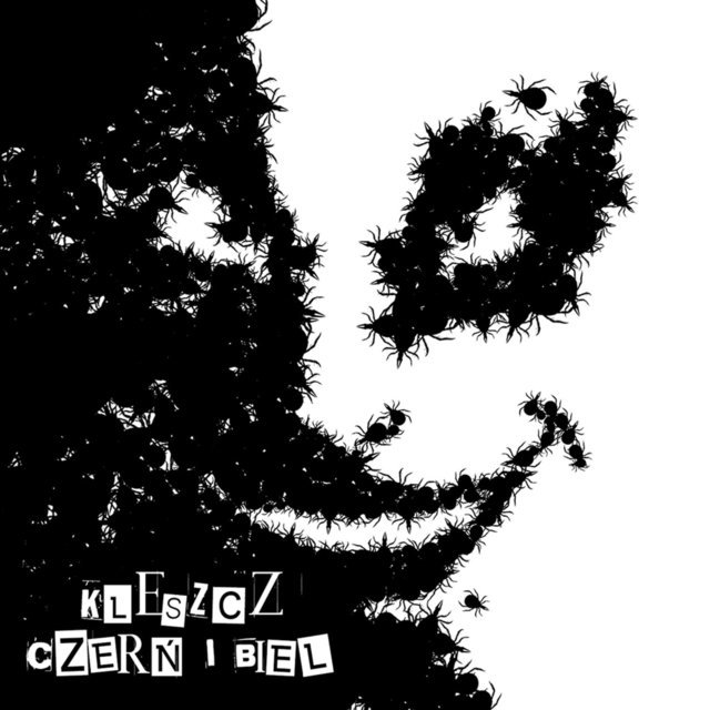 Photo of Czerń i biel