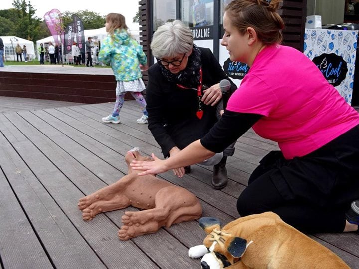 Photo of Kochacie swoich czworonożnych przyjaciół…