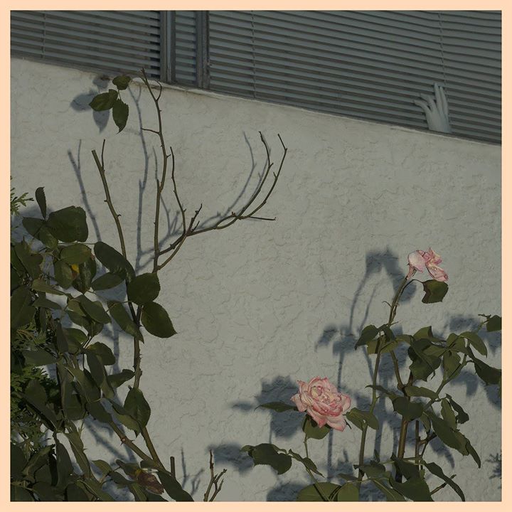 Photo of Soft Kill przyjeżdżają do nas z nowym al…