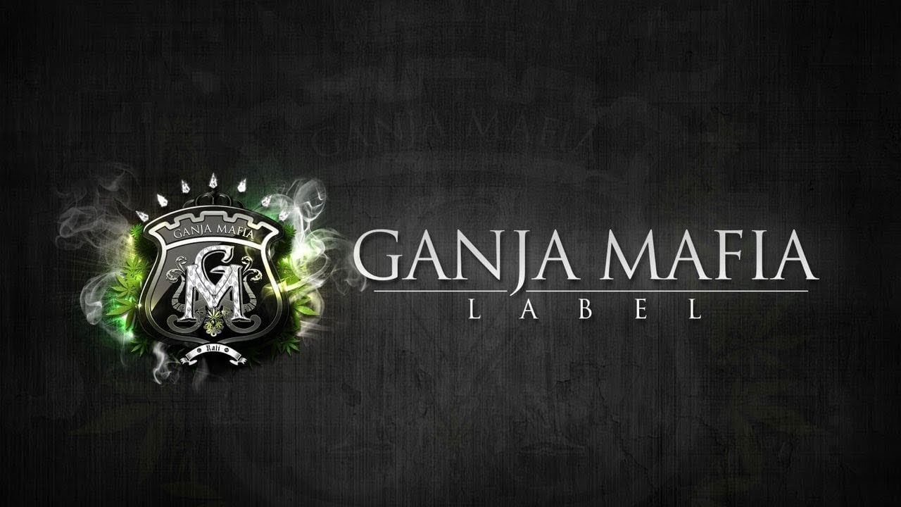 Photo of GANJA MAFIA ? RADIO 24/7