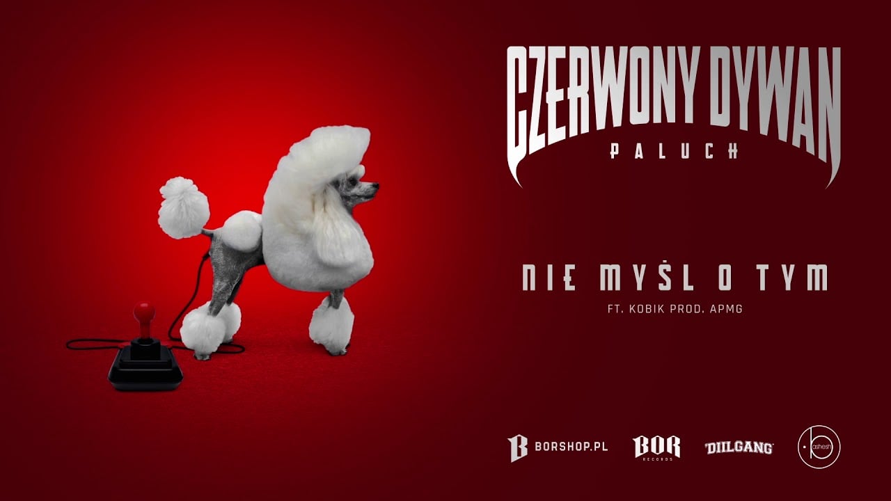 Photo of Paluch – „Nie myśl o tym” feat. Kobik prod. APmg (OFFICIAL AUDIO)