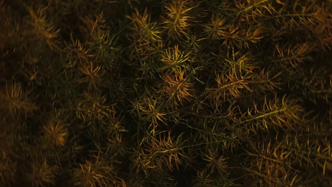 Photo of Envee – Gry i Zabawy feat. Muzykoterapia [UKM 070]