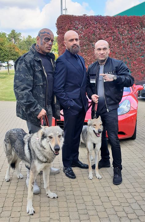 Photo of Przeglądam zdjęcia z planu Kobiet Mafii …