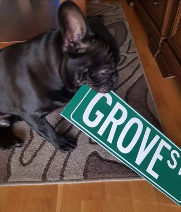 Photo of Kto z Was kojarzy tę tabliczkę z Kempa ?…