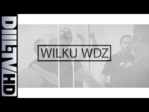 Photo of ZIN XX HG: Wilku WDZ [DIIL.TV]