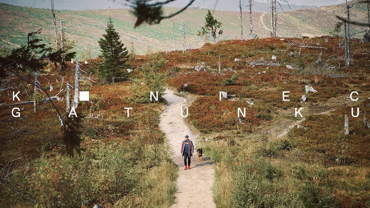 Photo of Sokół – Koniec gatunku feat. Lena Osińska