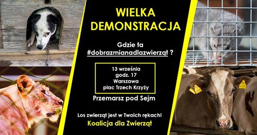 Photo of Wielka Demonstracja – Gdzie ta dobra zmiana dla zwierząt