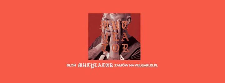 Photo of Słoń w Stalowej Woli!