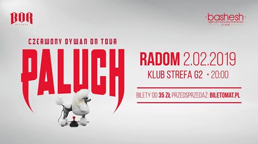 Photo of Paluch "Czerwony Dywan" Radom 02-02-2019