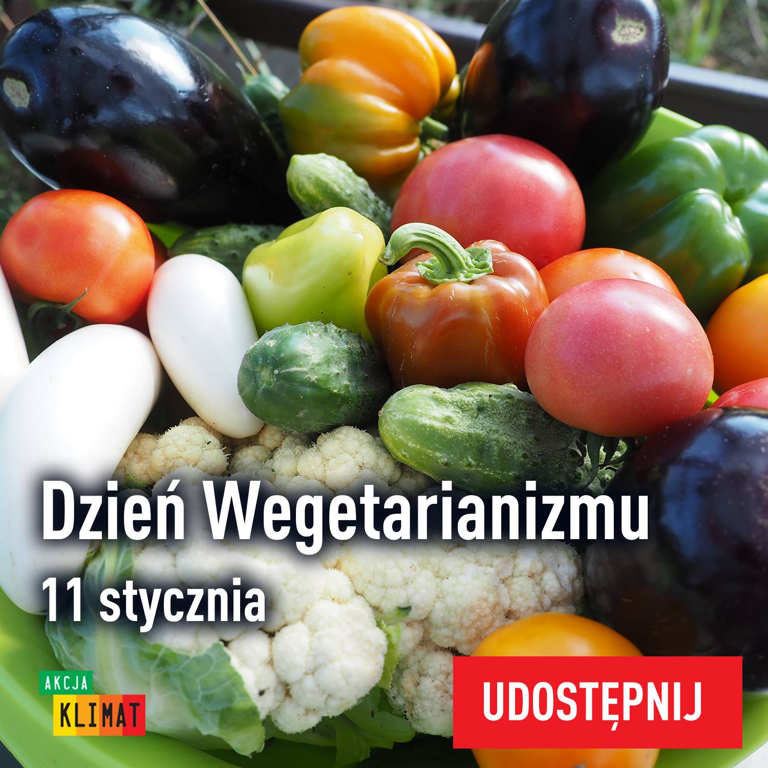 Photo of Dla zwierząt, dla zdrowia, dla planety -…