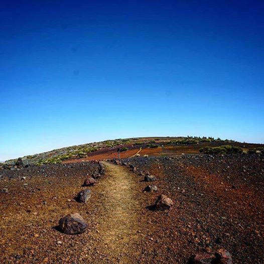 Photo of #pójdętylkotam