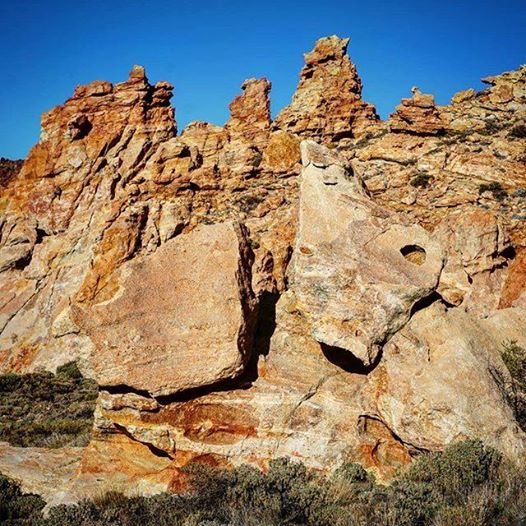 Photo of #rosynant #formybytu