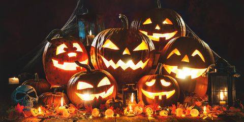Photo of Zapraszam na HALLOWEEN !!! Szukam kierow…