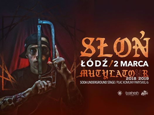 Photo of SŁOŃ w Łodzi!