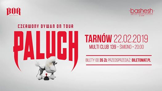 Photo of Paluch • Czerwony Dywan • Tarnów