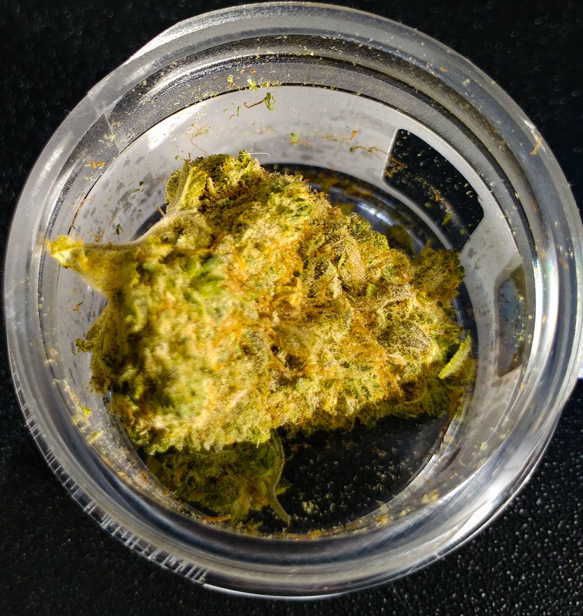 Photo of Dzień dobry ;)
Hello #Silver_Bud ;)