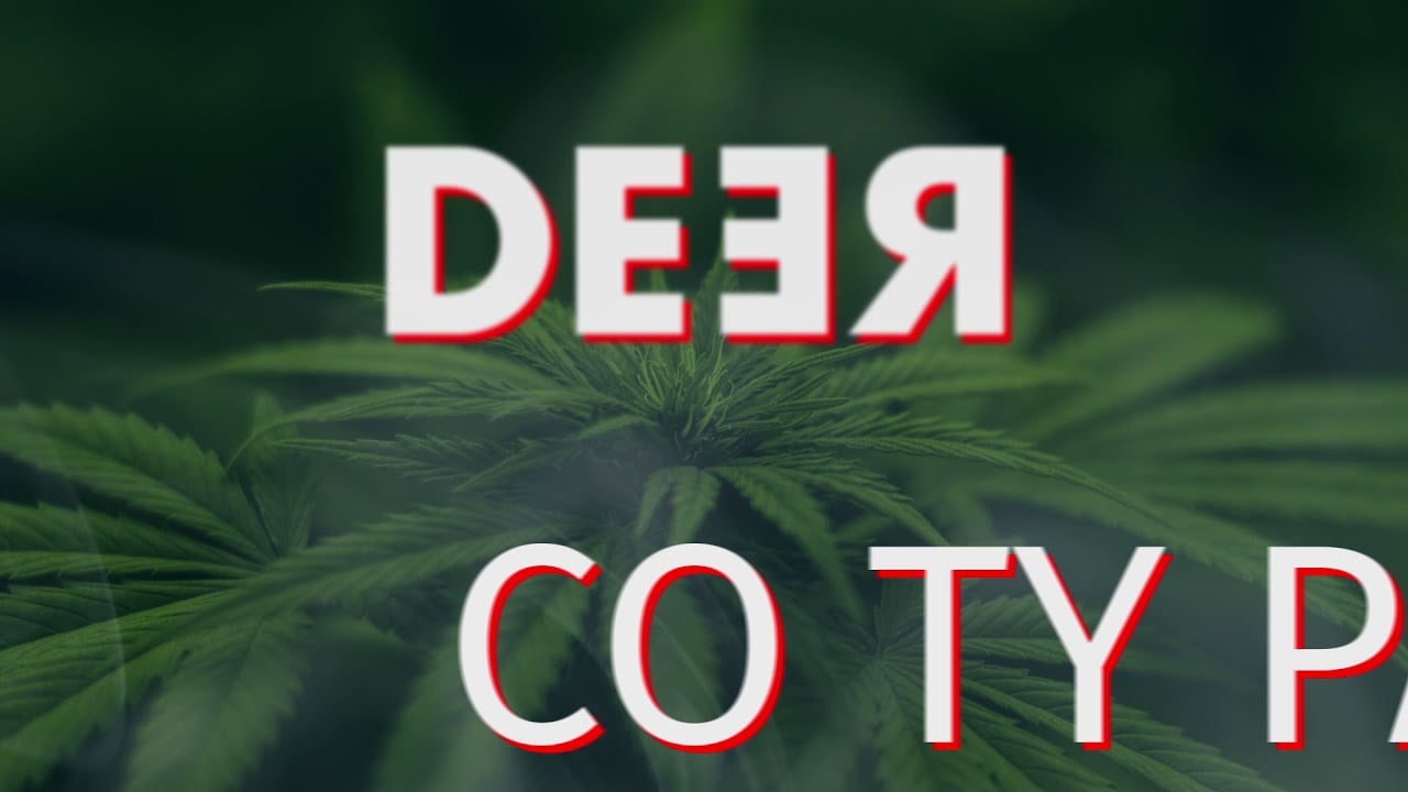 Photo of Co Ty palisz Master